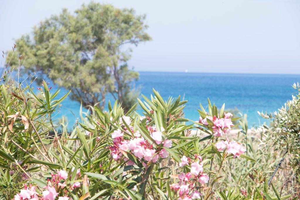 Villa Yialos Antiparos Town Dış mekan fotoğraf